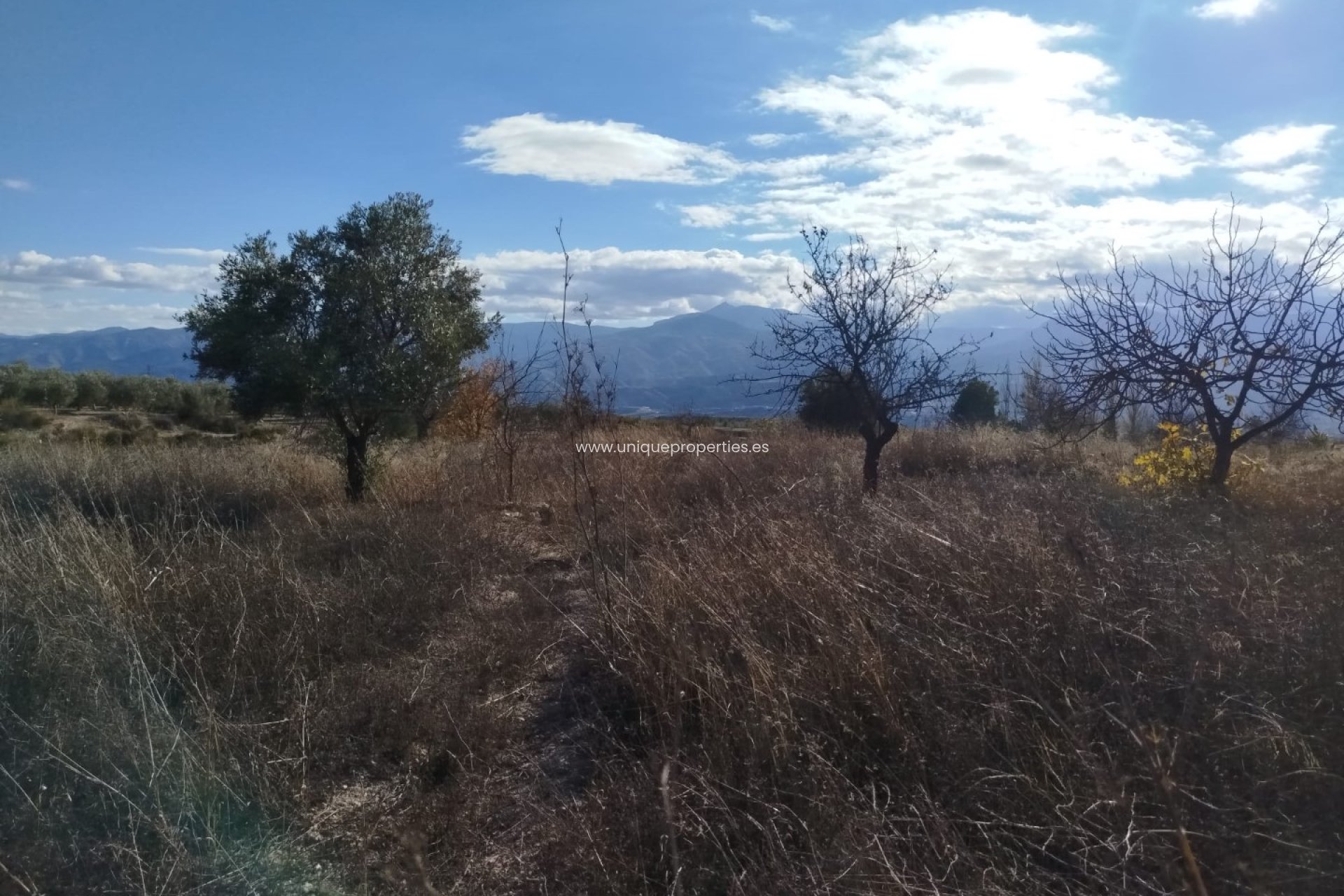 Reventa - Land -
Lucar