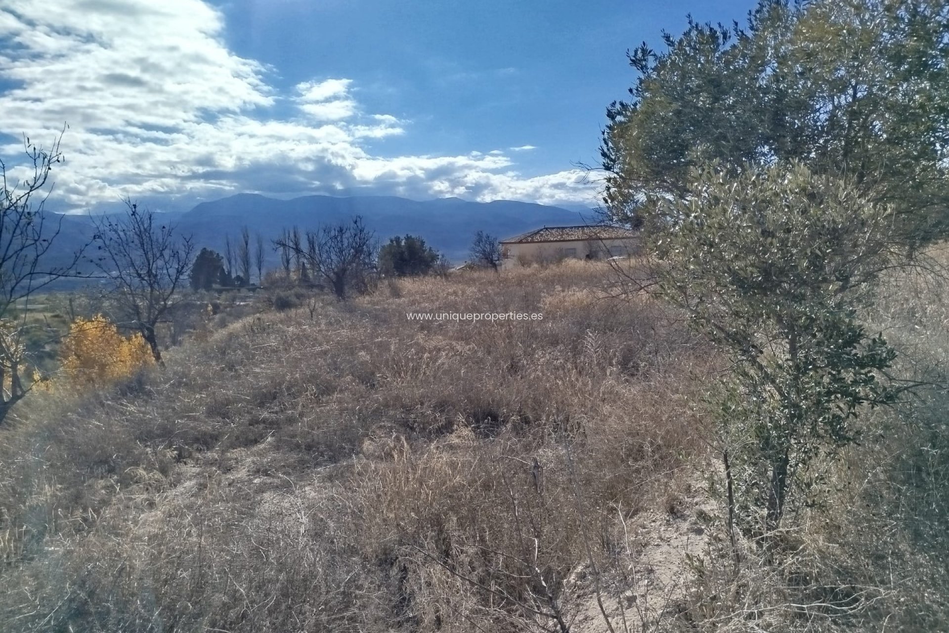 Reventa - Land -
Lucar