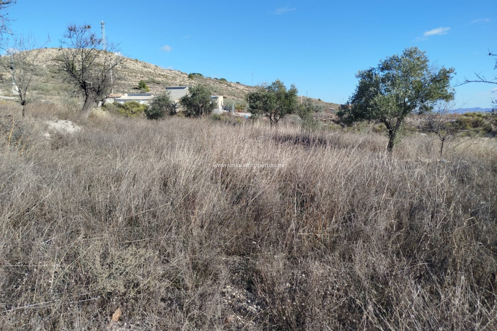 Reventa - Land -
Lucar