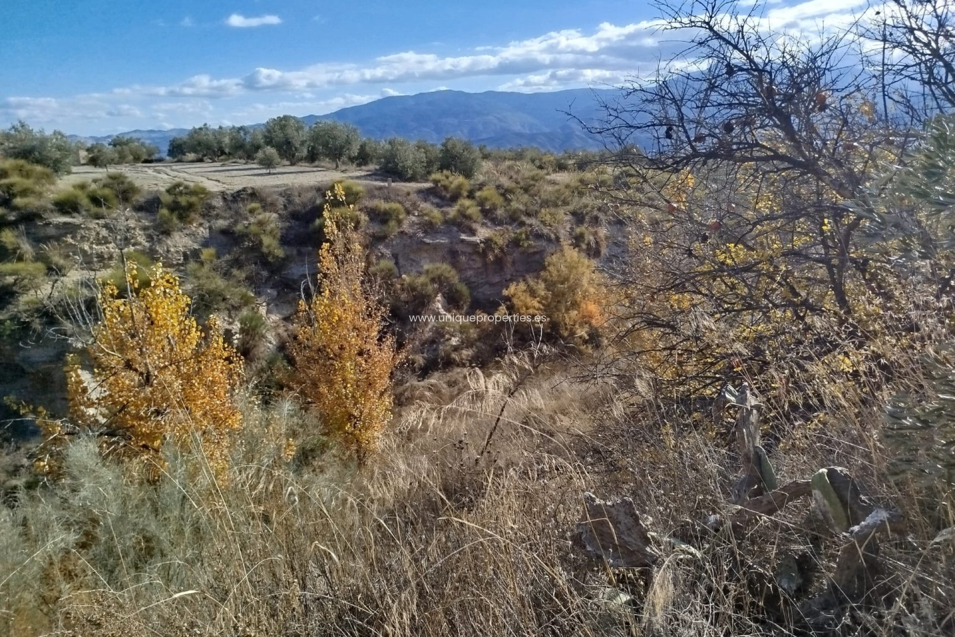 Reventa - Land -
Lucar