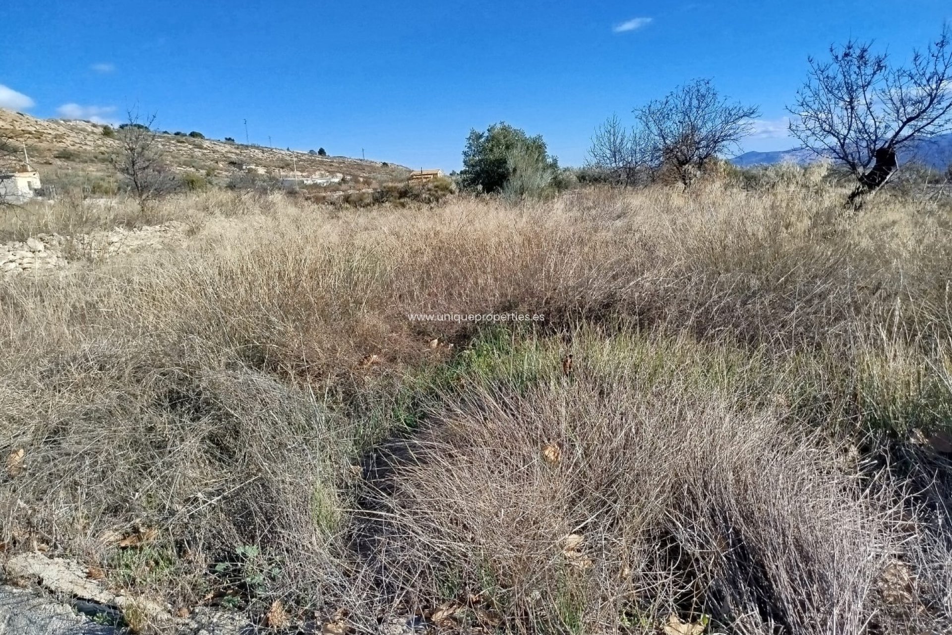 Reventa - Land -
Lucar