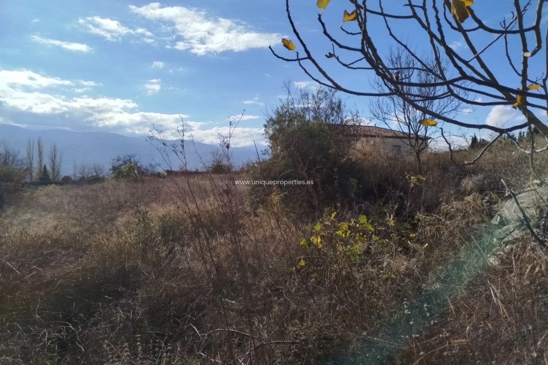 Reventa - Land -
Lucar