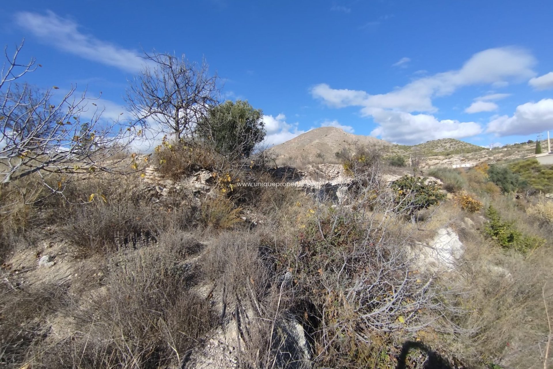 Reventa - Land -
Lucar