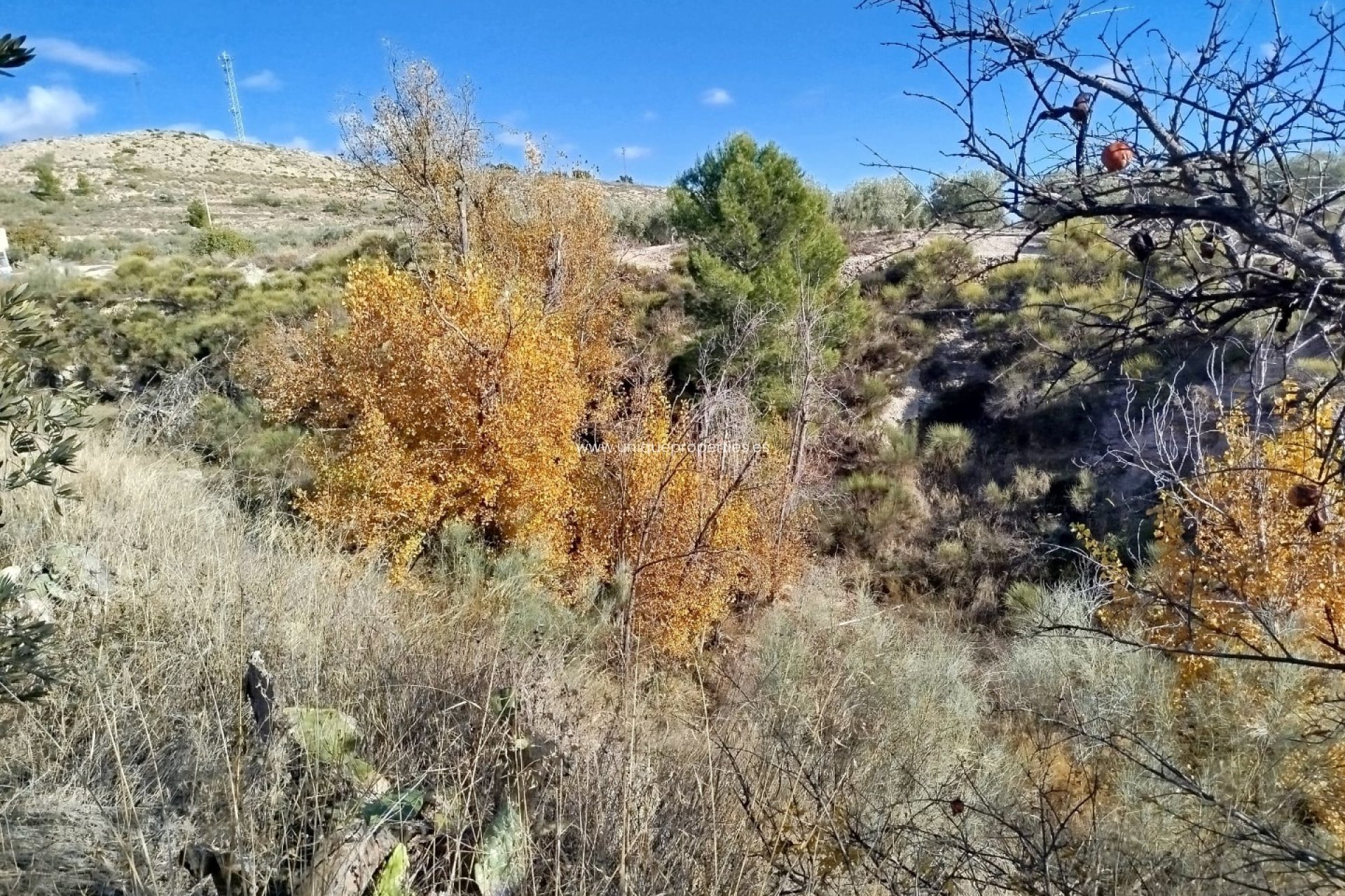 Reventa - Land -
Lucar