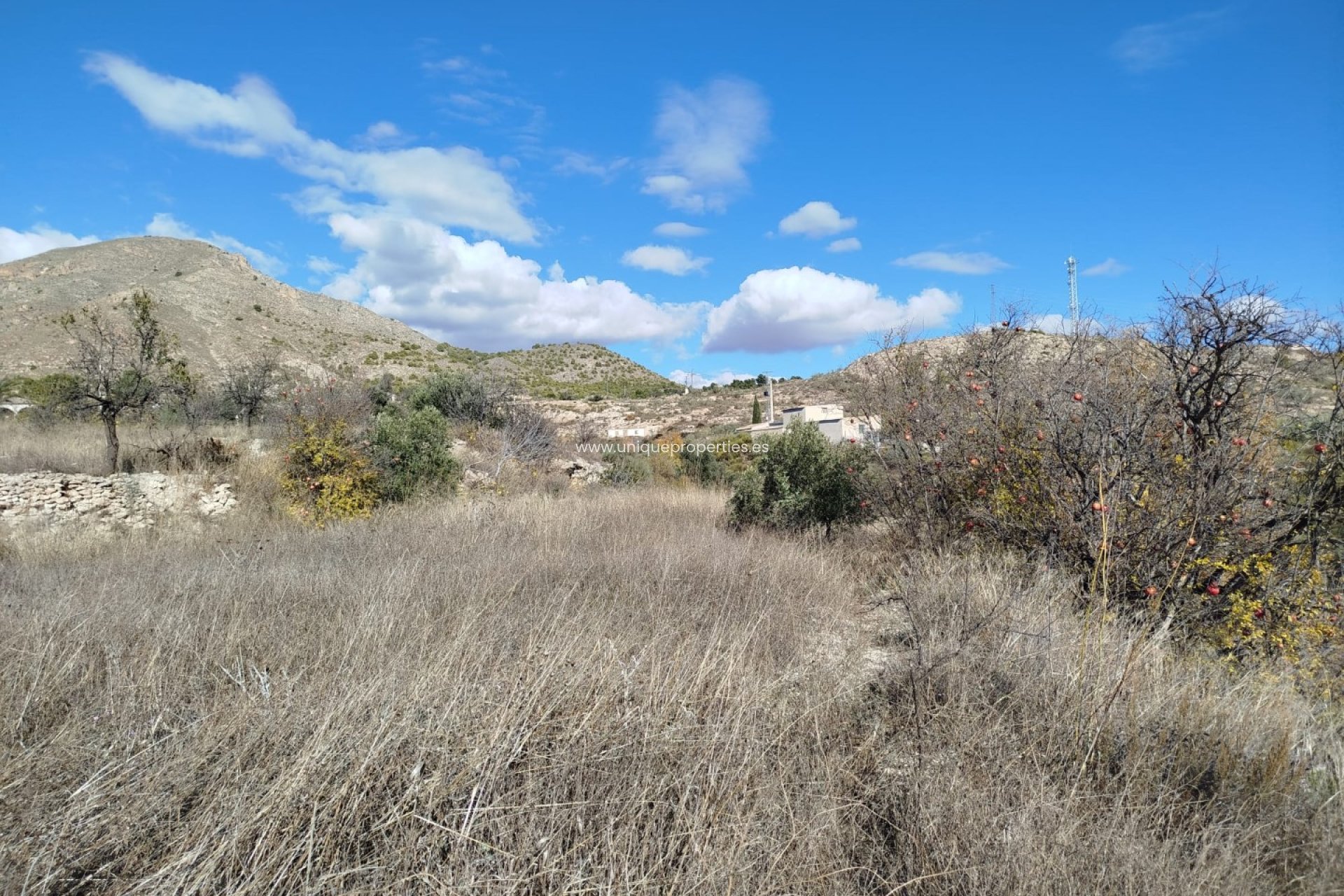 Reventa - Land -
Lucar