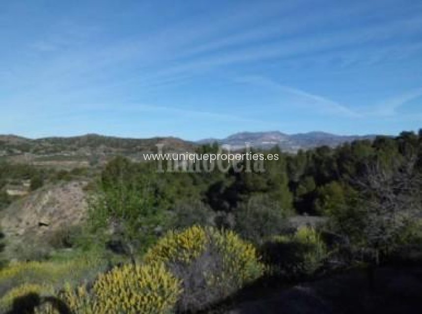 Reventa - Land -
Purchena