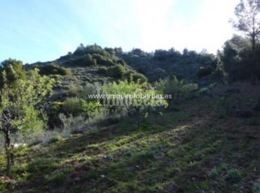 Reventa - Land -
Purchena