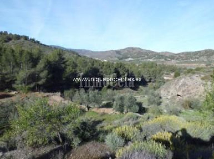 Reventa - Land -
Purchena