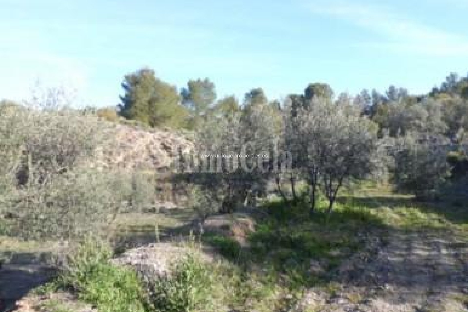 Reventa - Land -
Purchena