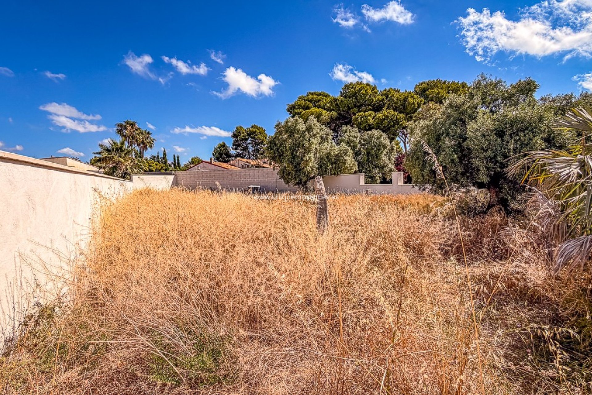 Reventa - Land -
Santiago de la Ribera - zona san blas