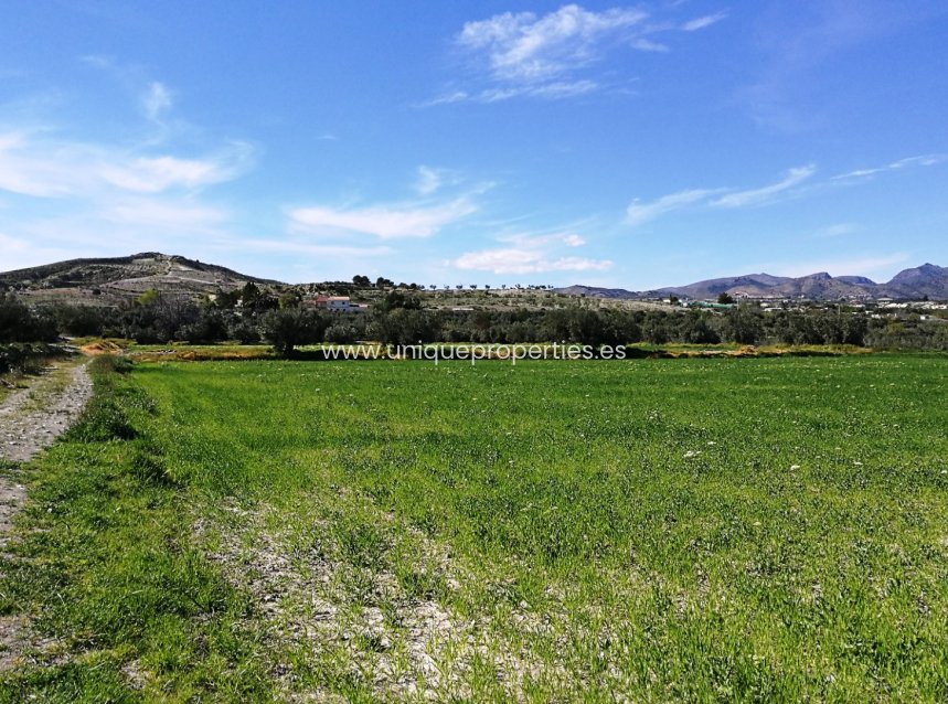 Reventa - Land -
Tijola