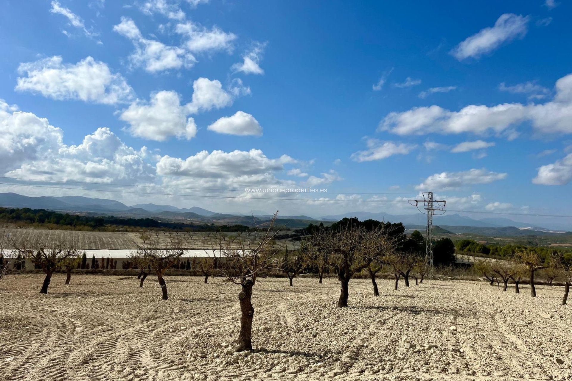 Reventa - Parcela / Terreno -
Bullas - Costa Calida