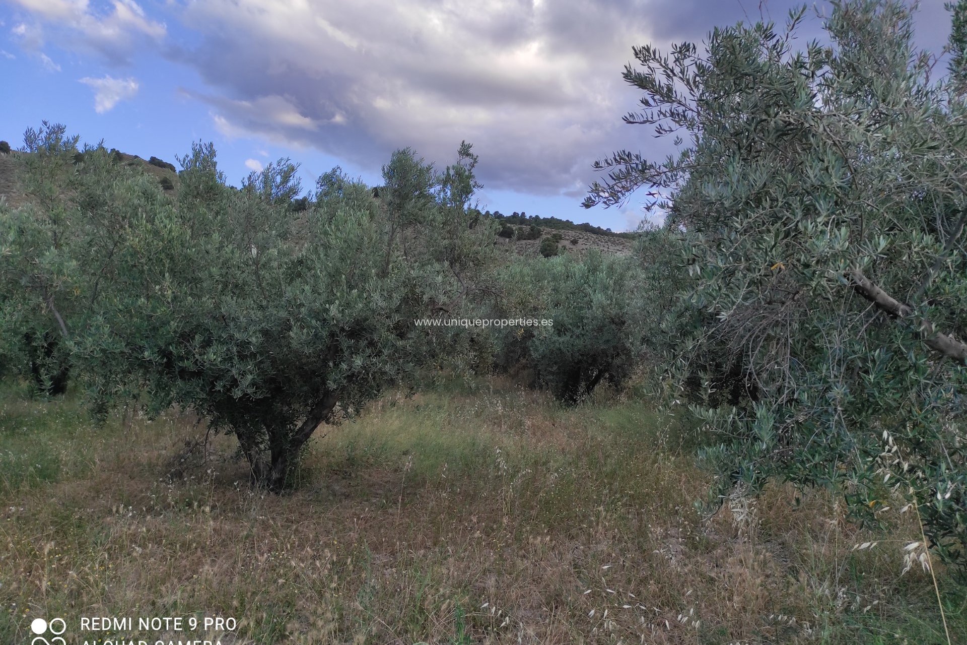 Reventa - Villa -
Armuna de Almanzora