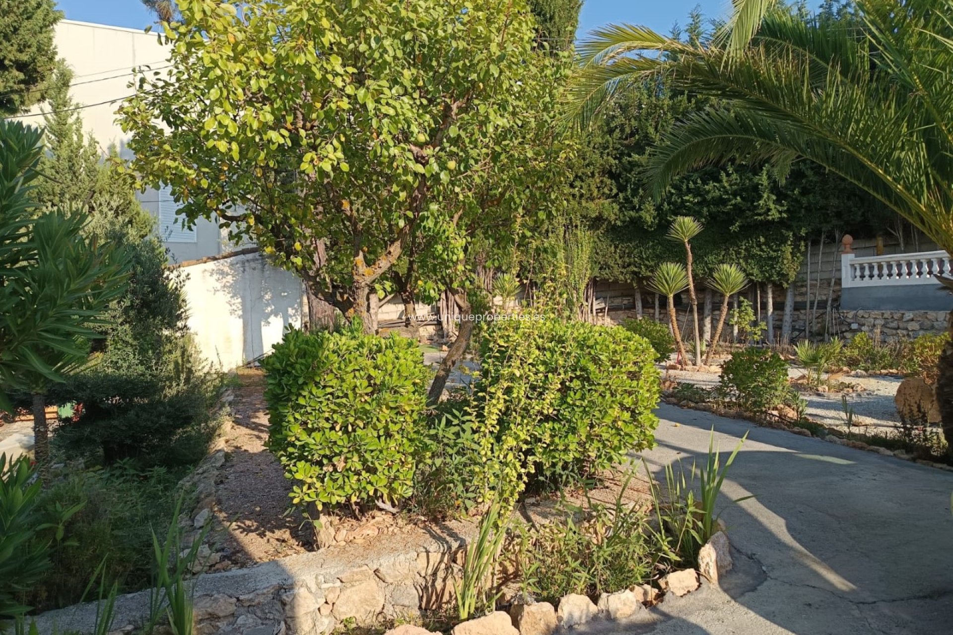 Reventa - Villa -
Cullar de Baza