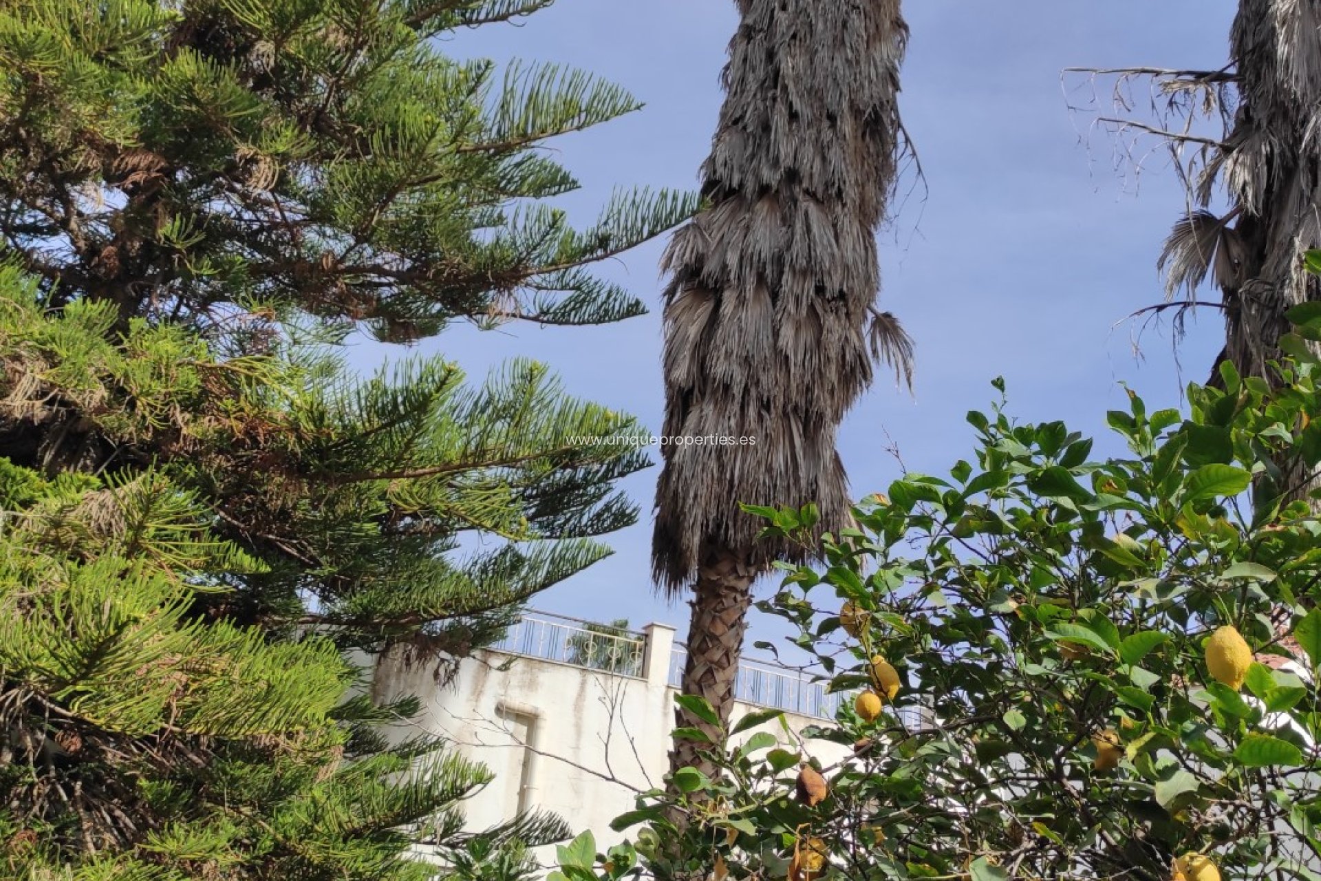 Reventa - Village House -
Olula del Rio