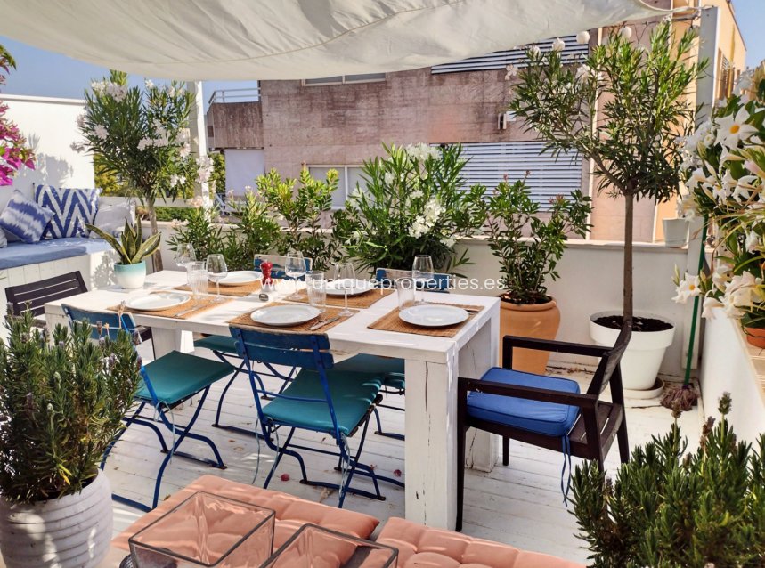 Revente - Apartment -
Palma