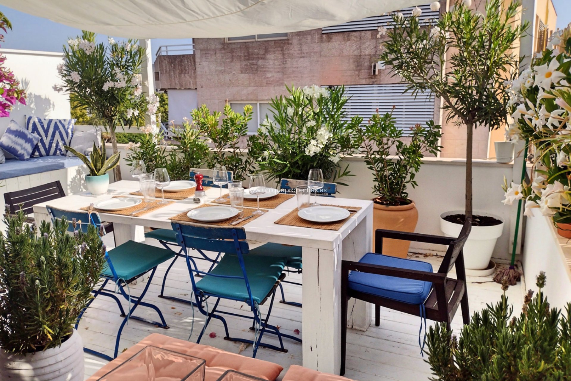 Revente - Apartment -
Palma