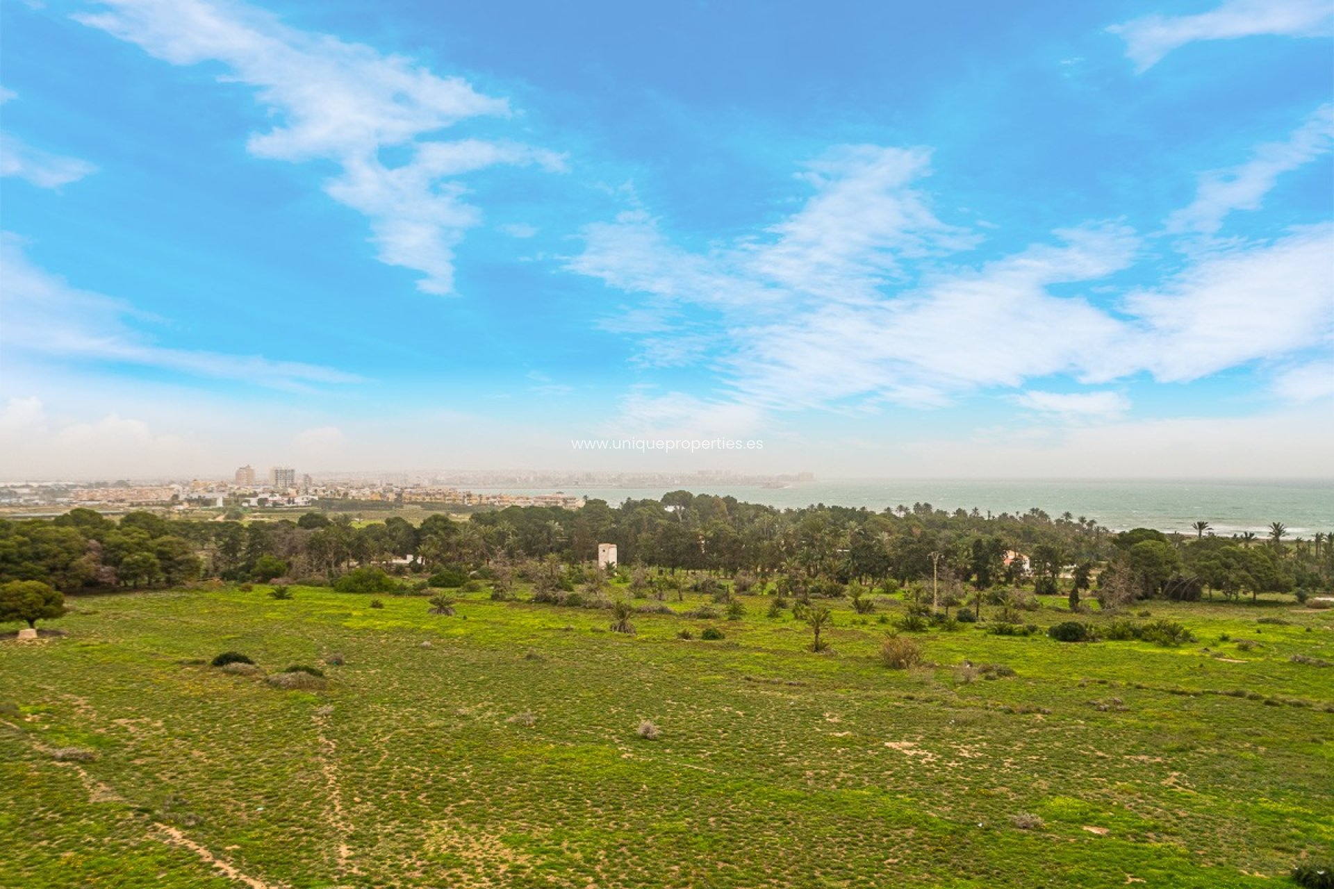 Revente - Apartment -
Torrevieja - Punta Prima