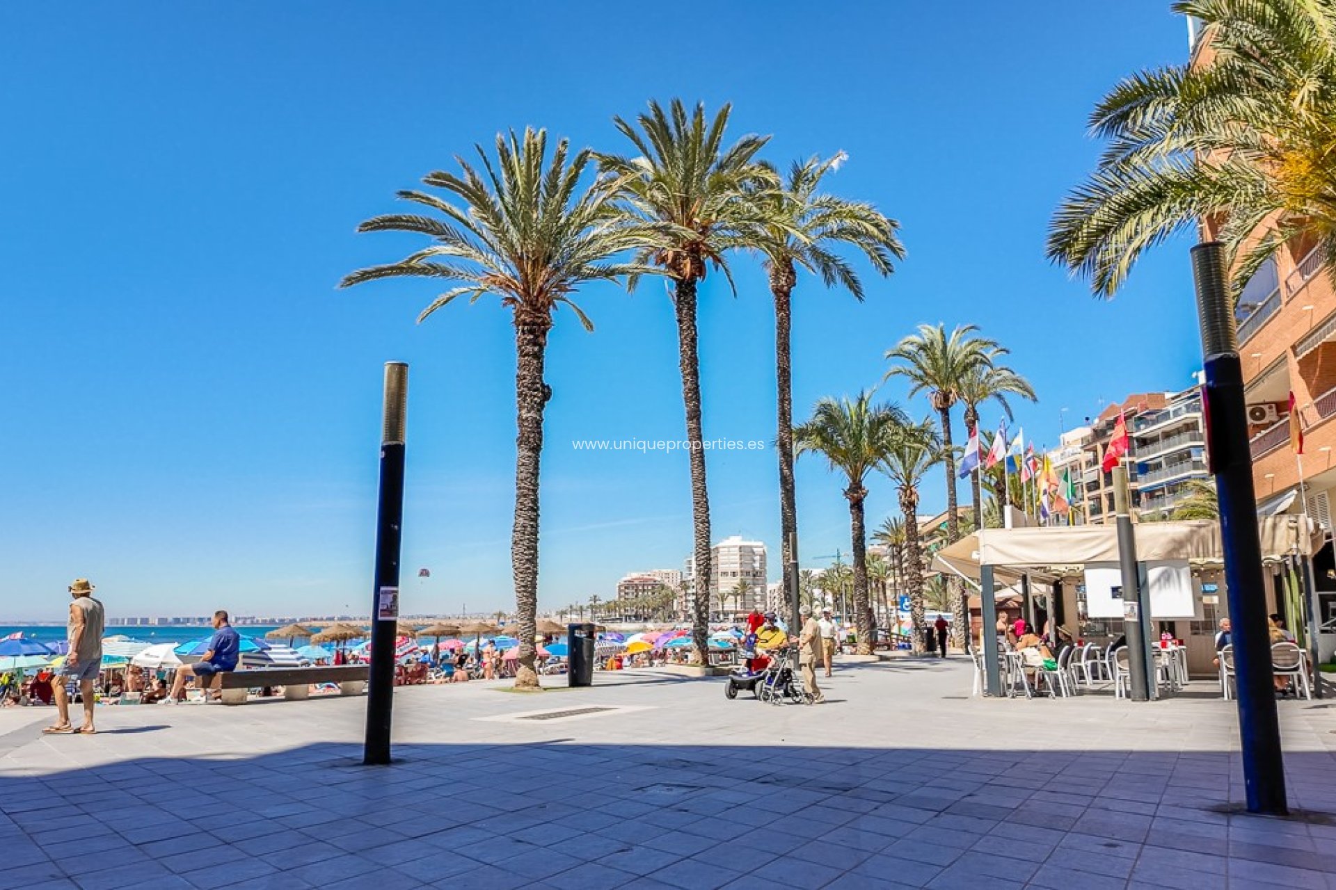 Revente - Apartment -
Torrevieja