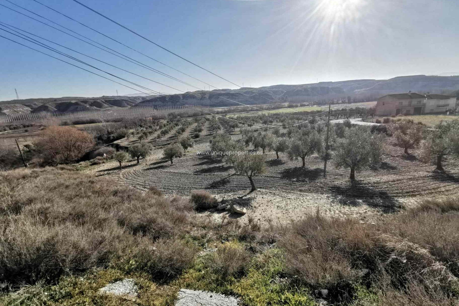 Revente - Cave House -
Cortes de Baza