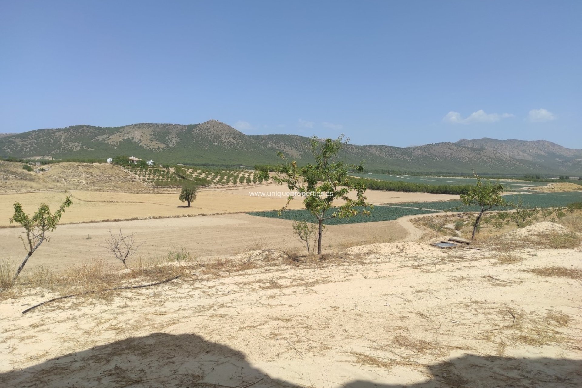 Revente - Cave House -
Huescar