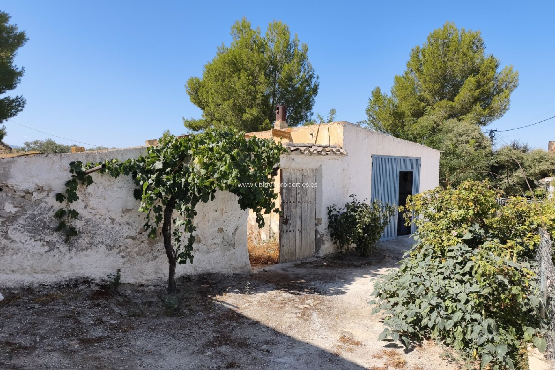 Revente - Cave House -
Margen de Abajo