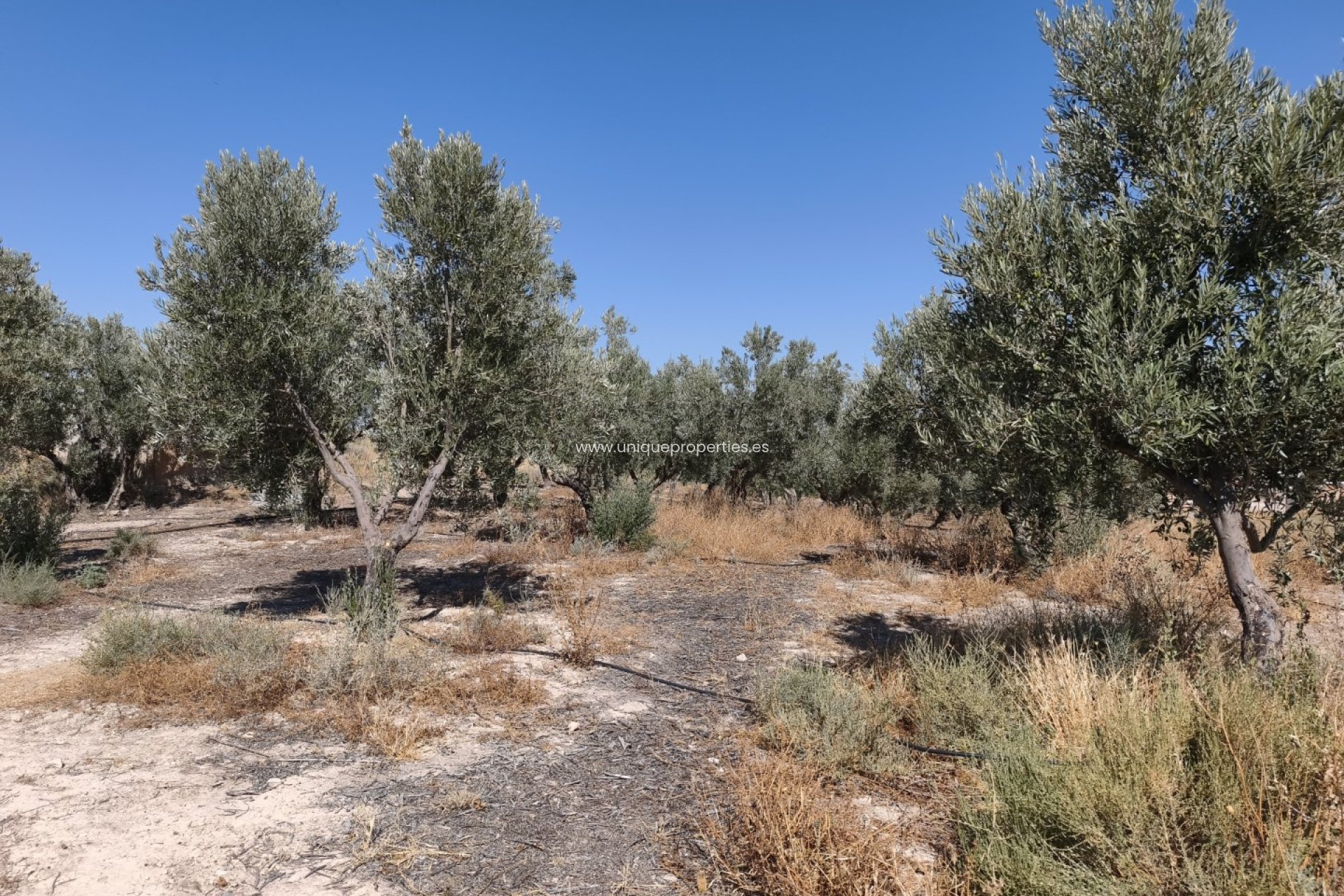 Revente - Cave House -
Margen de Abajo