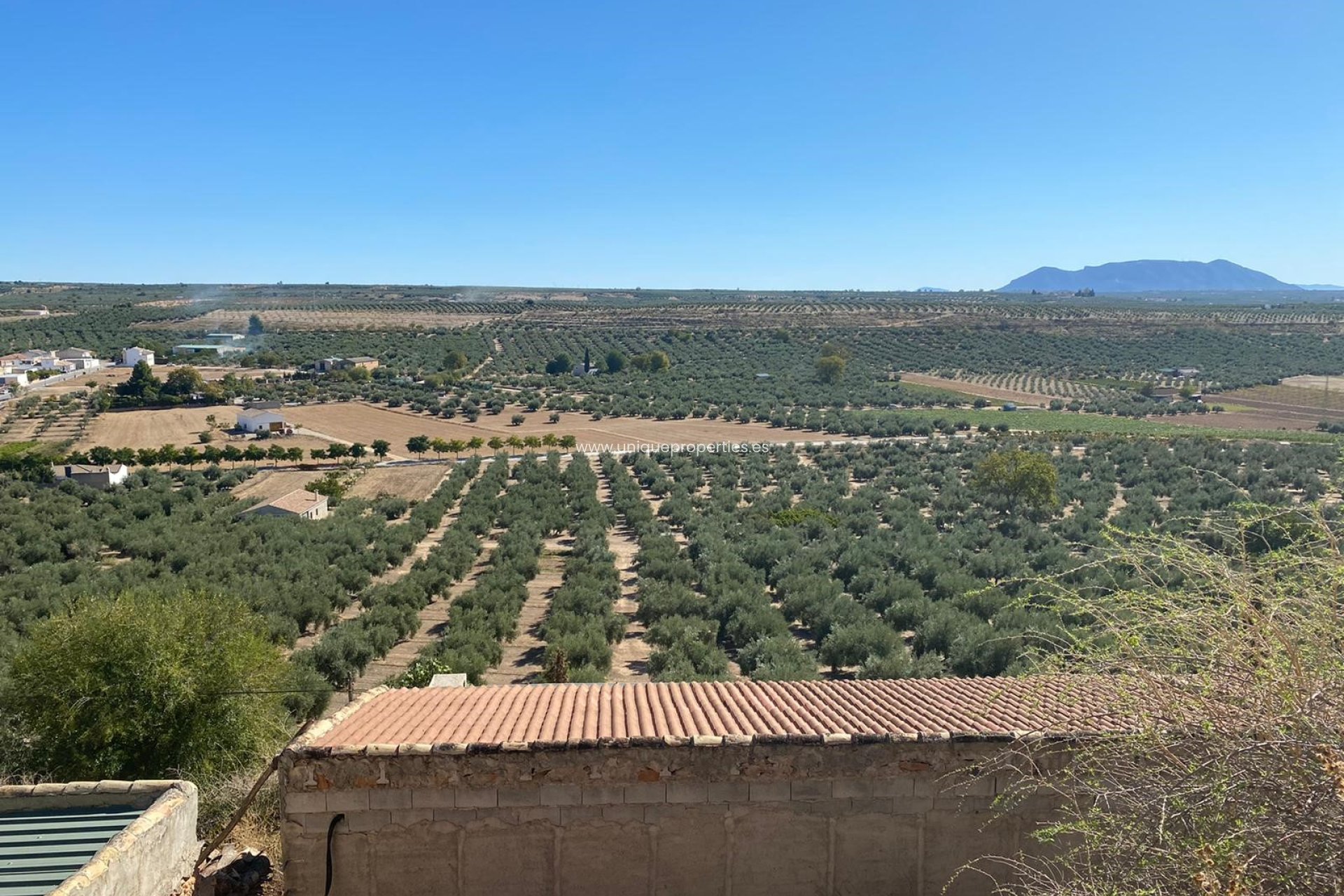 Revente - Cave House -
Pozo Alcon