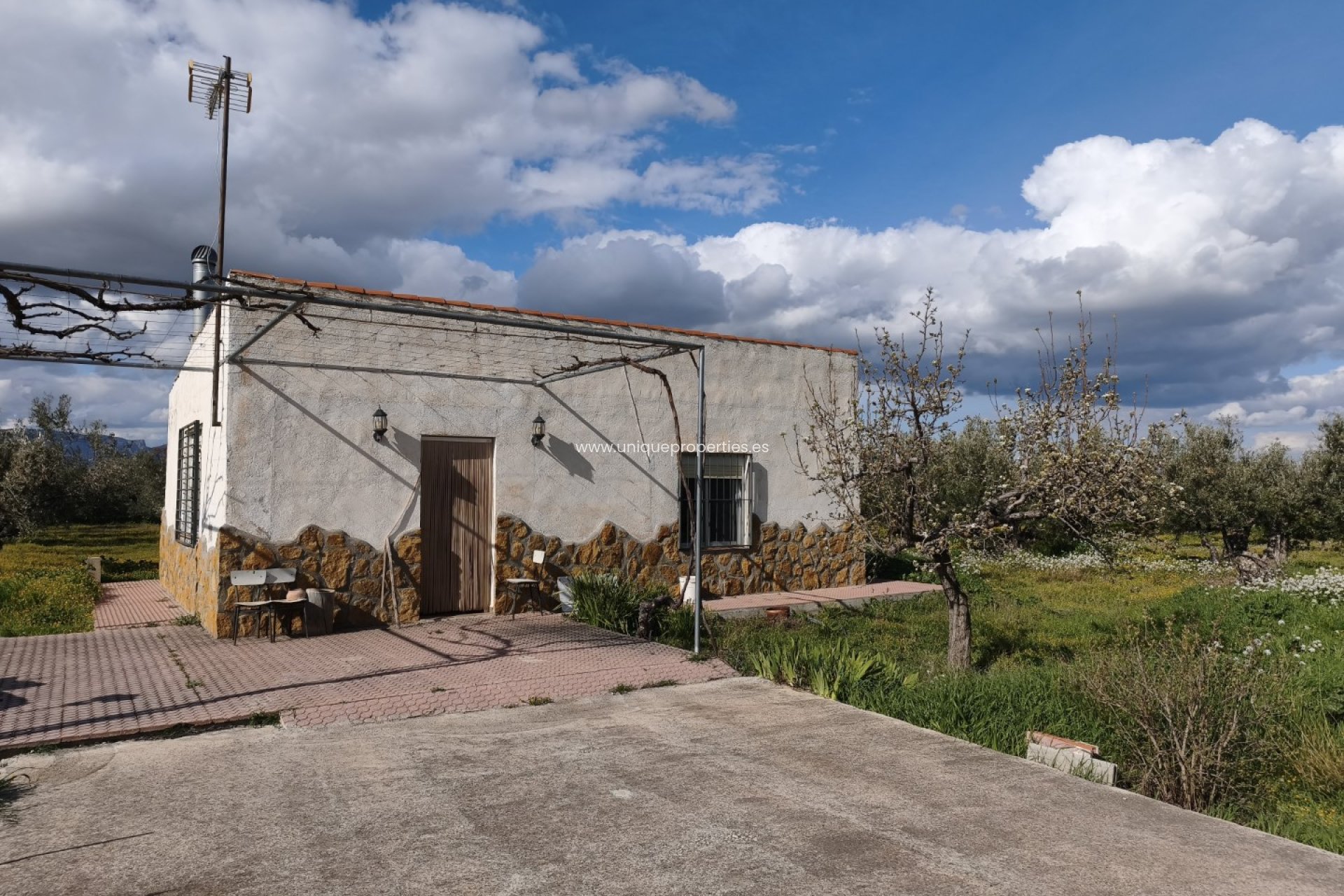 Revente - Cortijo -
Baza