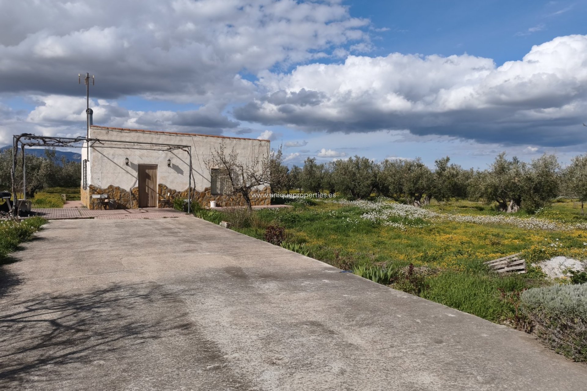 Revente - Cortijo -
Baza