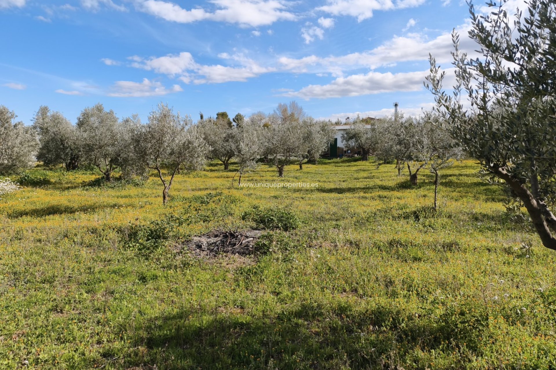 Revente - Cortijo -
Baza