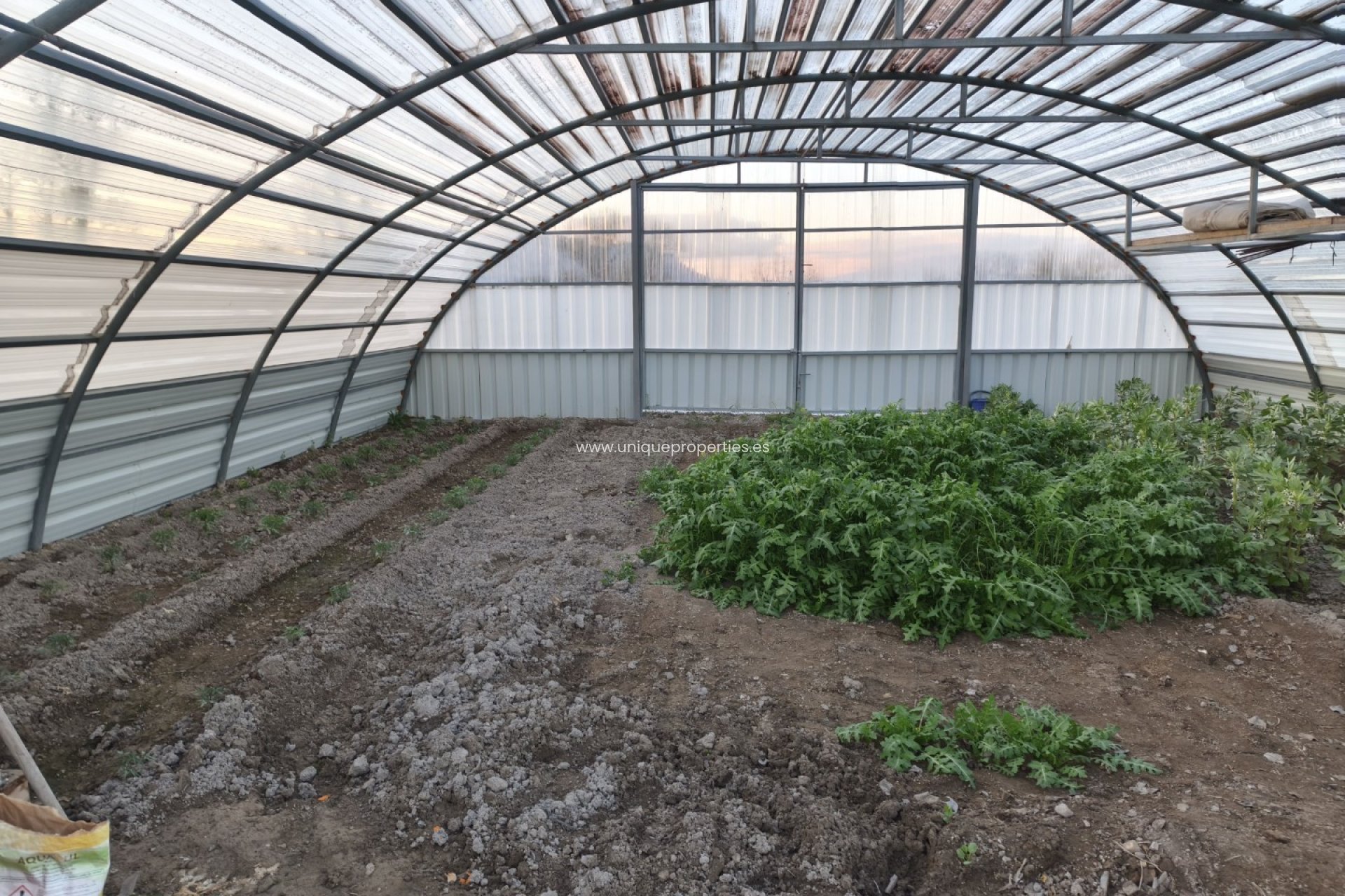 Revente - Cortijo -
Baza