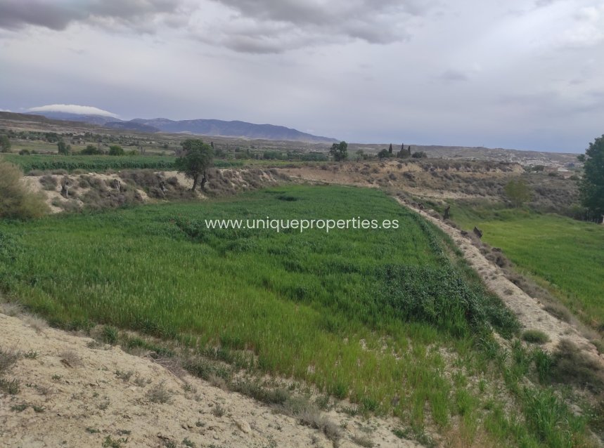 Revente - Cortijo -
Huescar