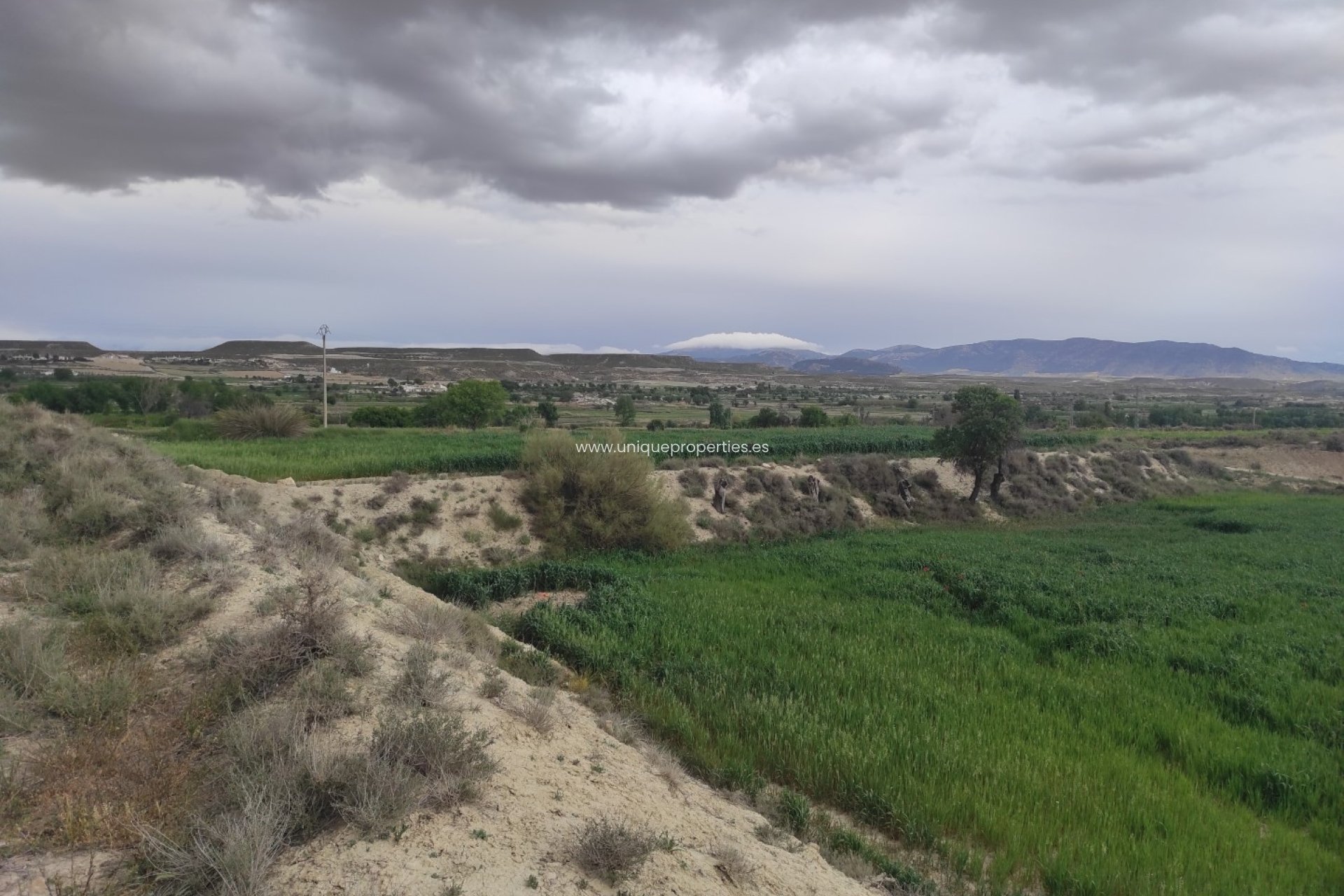 Revente - Cortijo -
Huescar