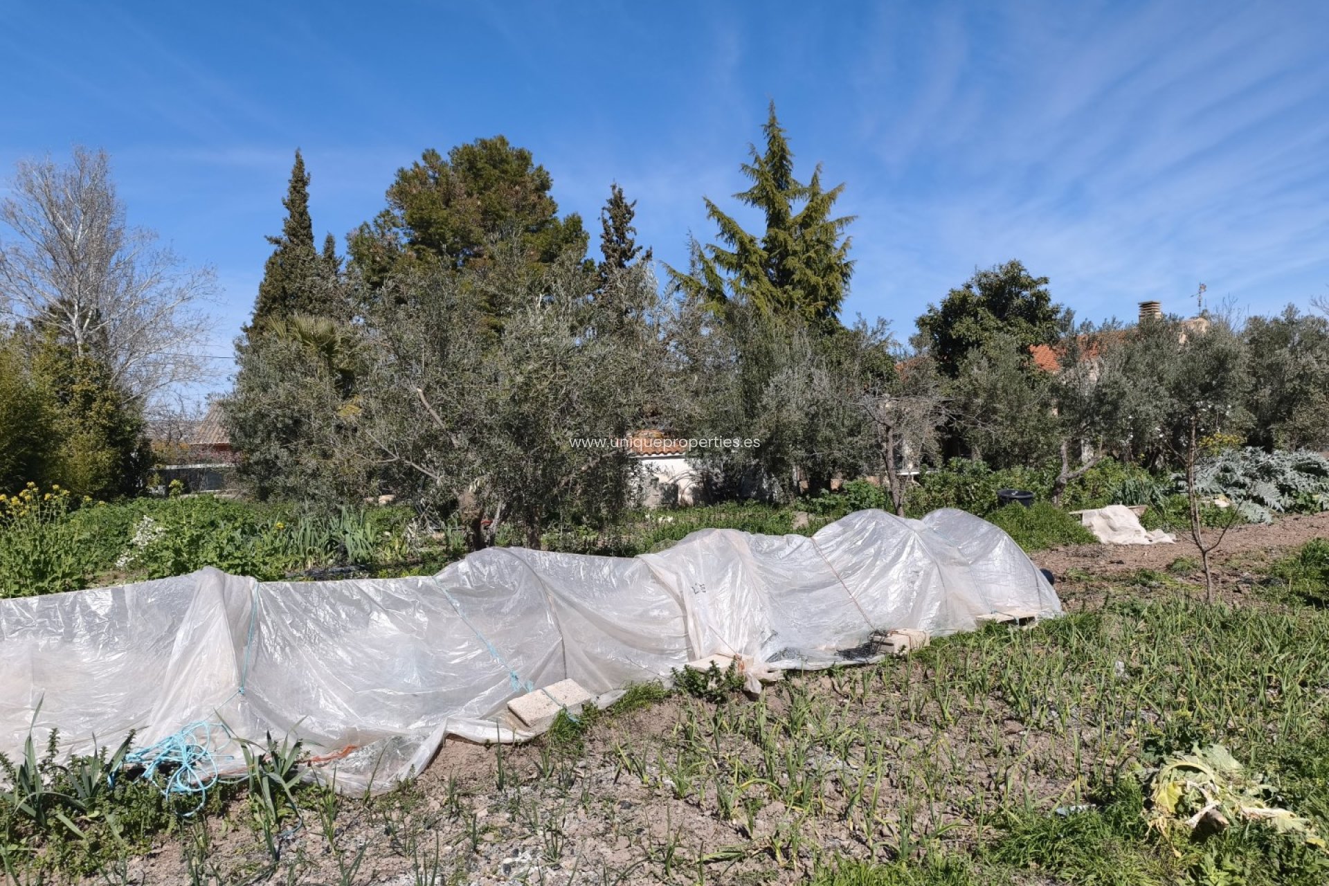 Revente - Country House -
Baza