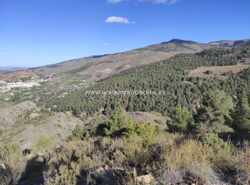 Revente - Land -
Bayarque