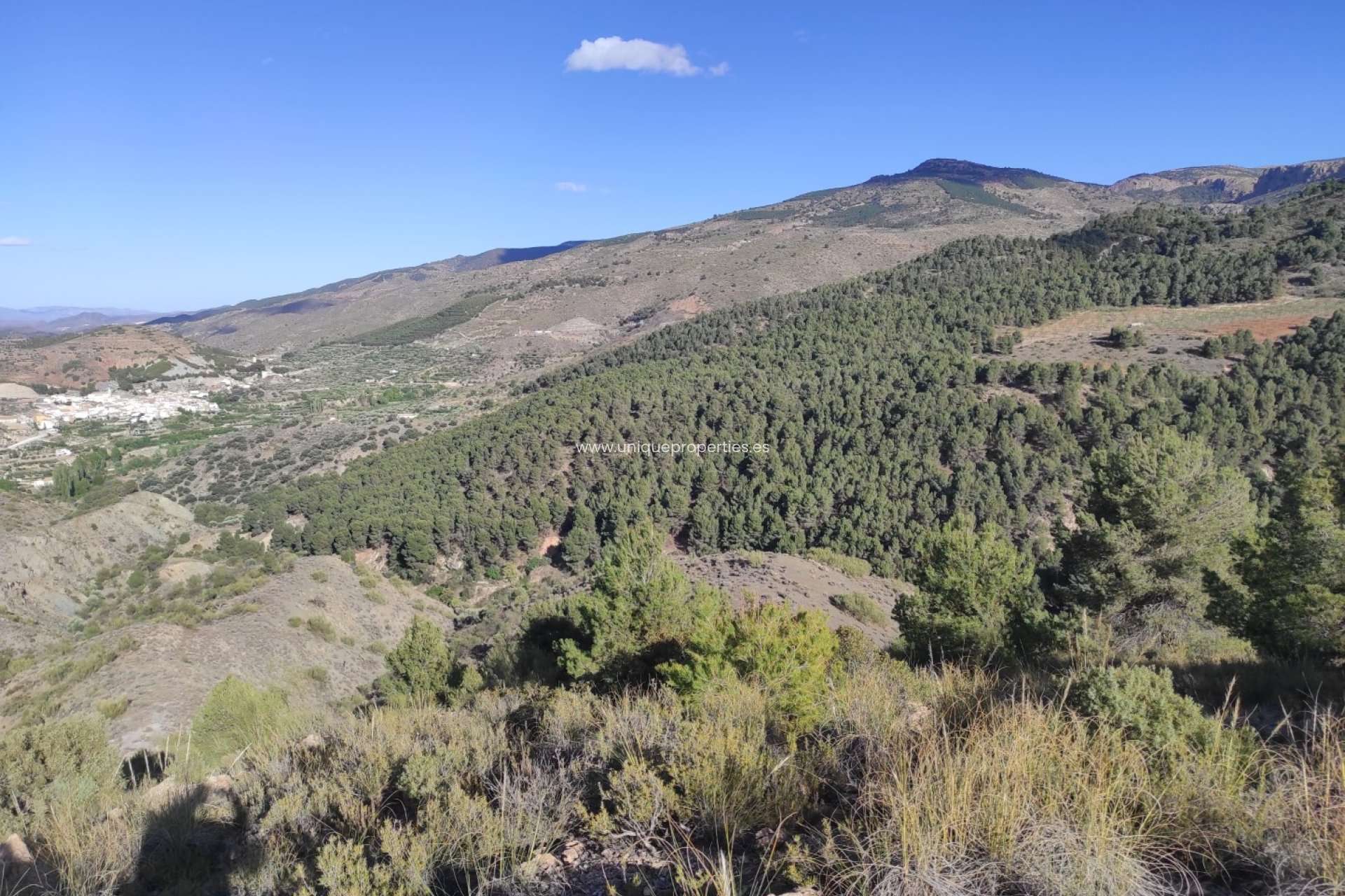 Revente - Land -
Bayarque