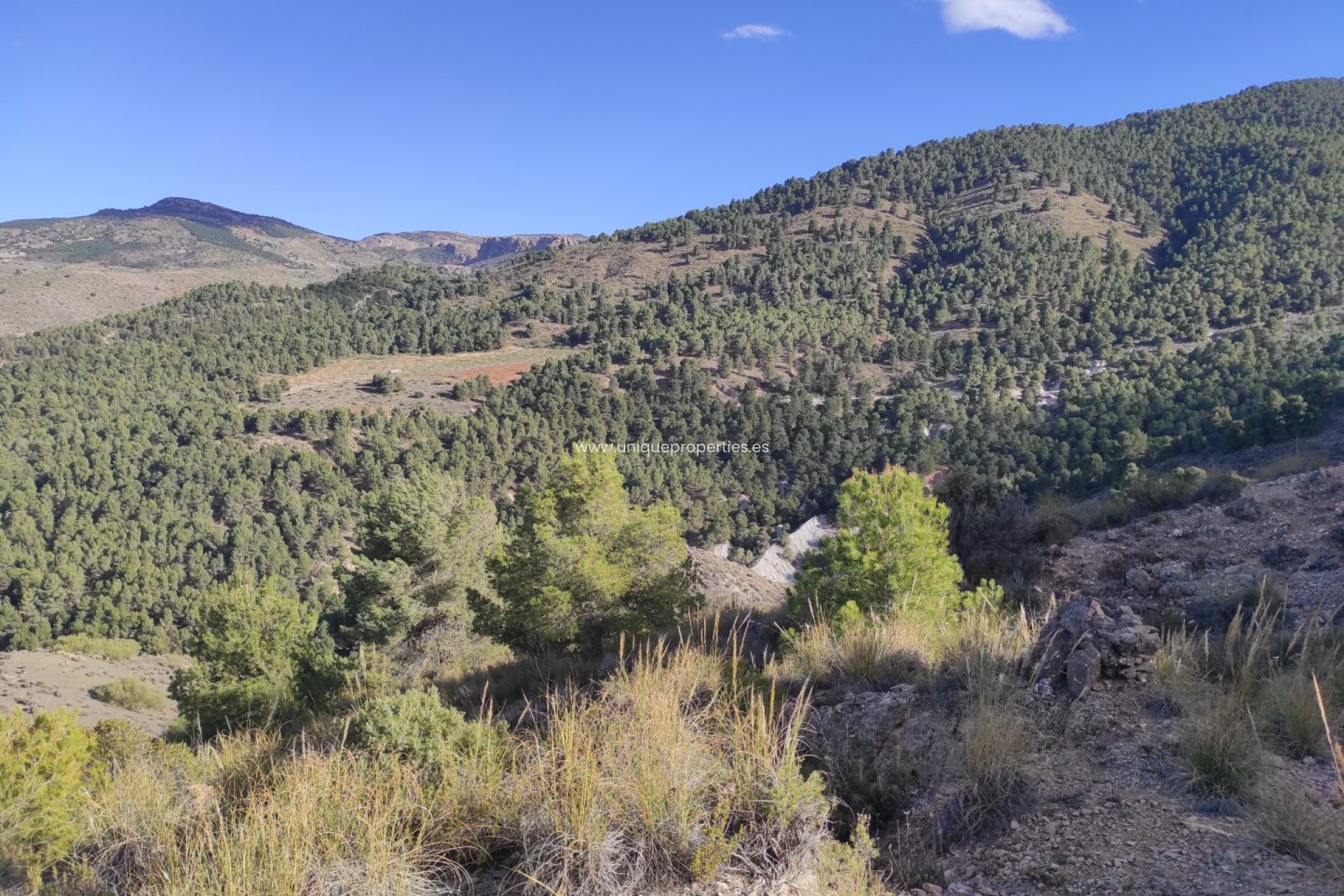 Revente - Land -
Bayarque