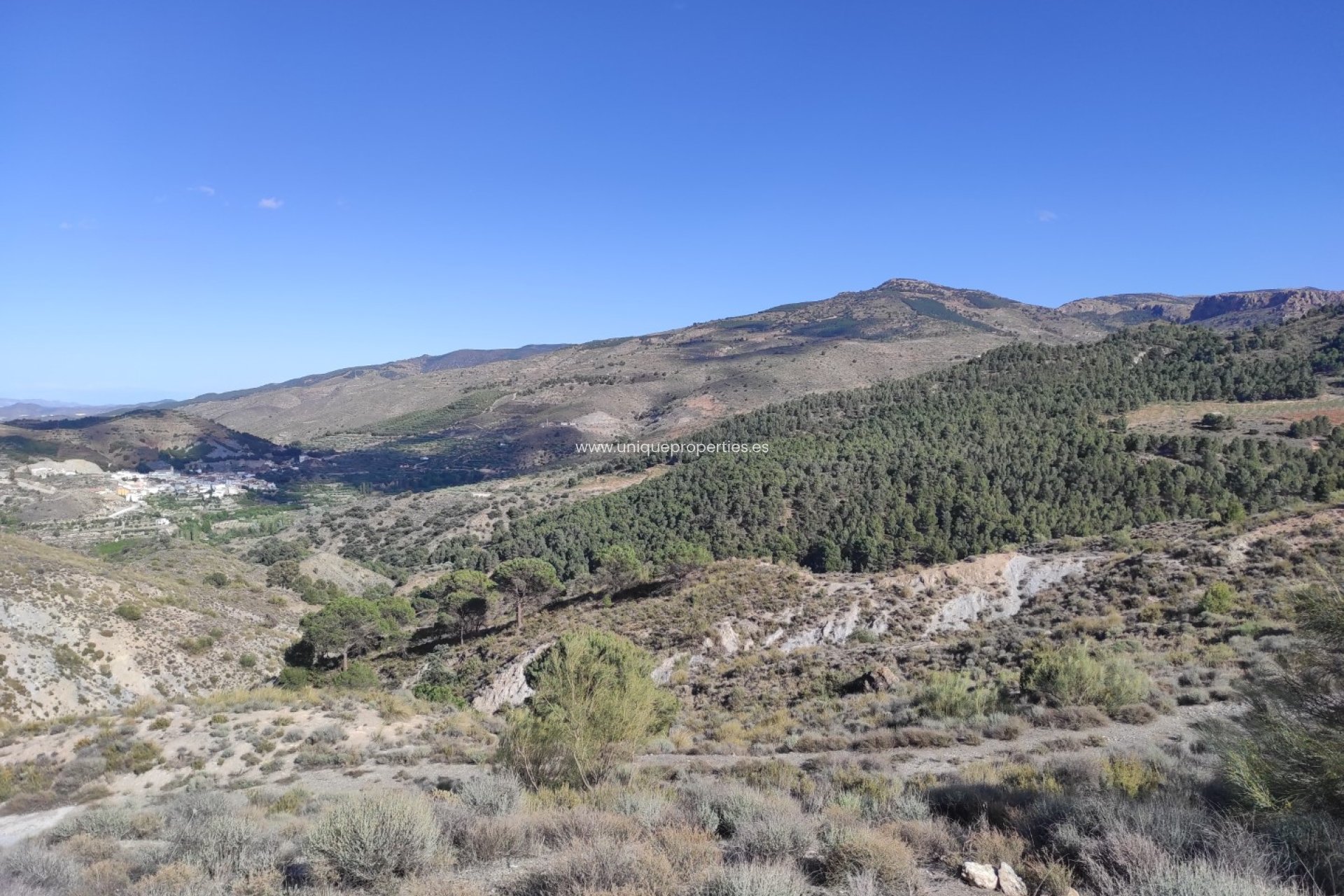 Revente - Land -
Bayarque