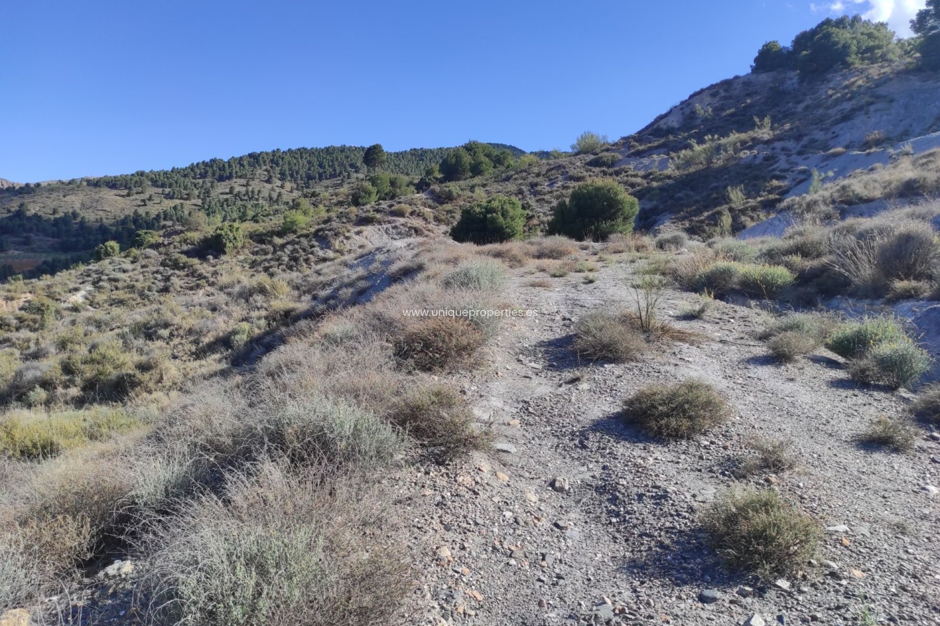 Revente - Land -
Bayarque