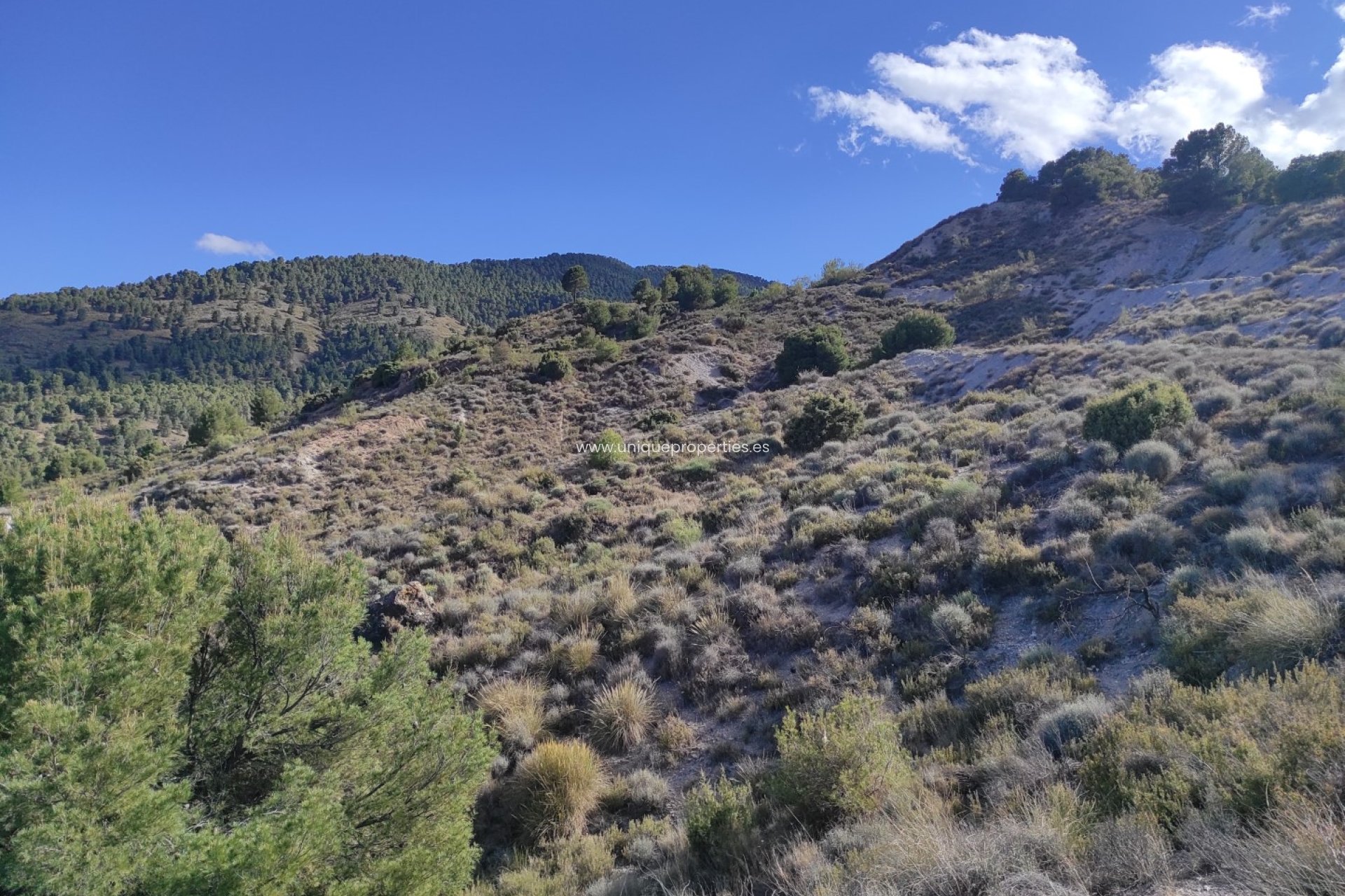 Revente - Land -
Bayarque