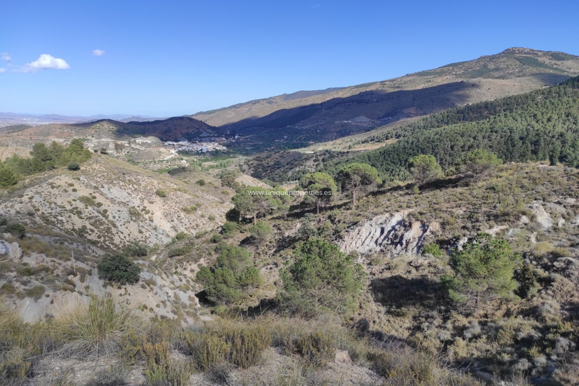 Revente - Land -
Bayarque