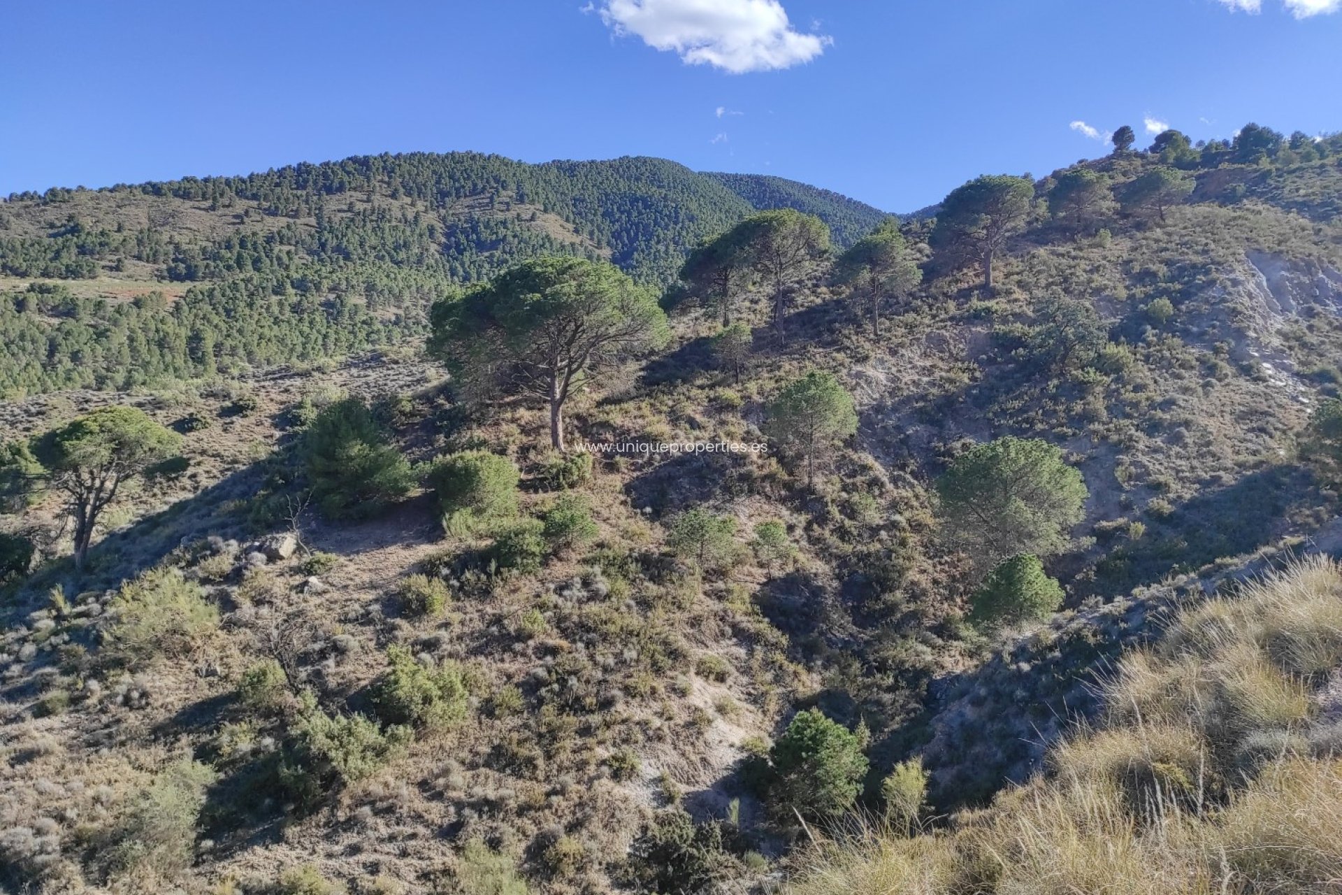 Revente - Land -
Bayarque