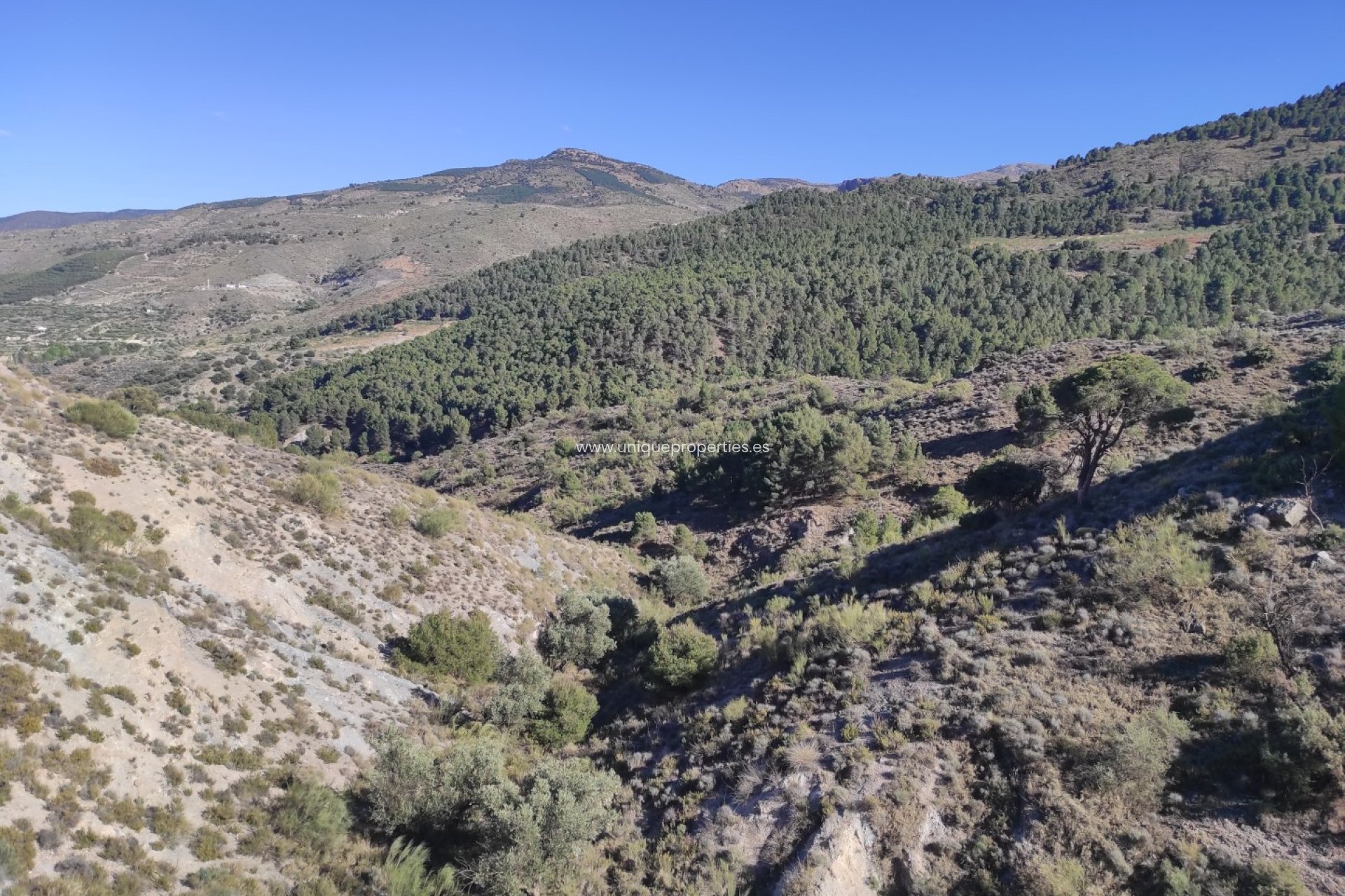 Revente - Land -
Bayarque