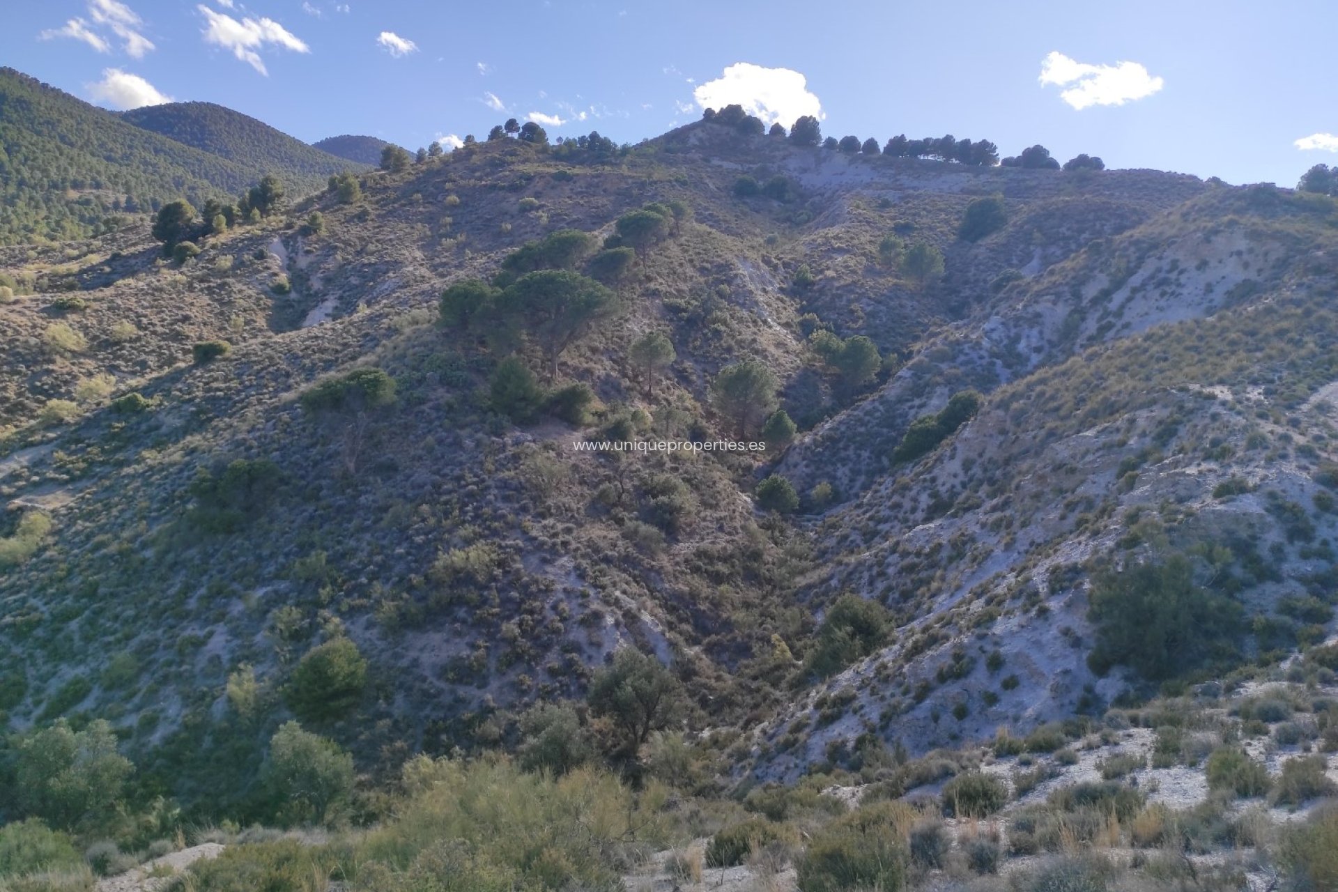 Revente - Land -
Bayarque