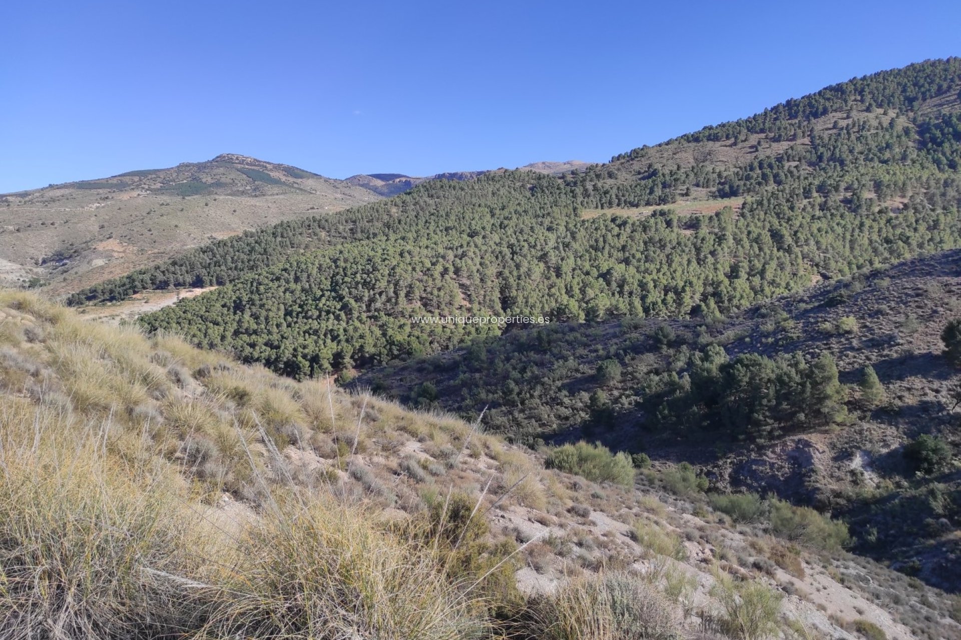 Revente - Land -
Bayarque