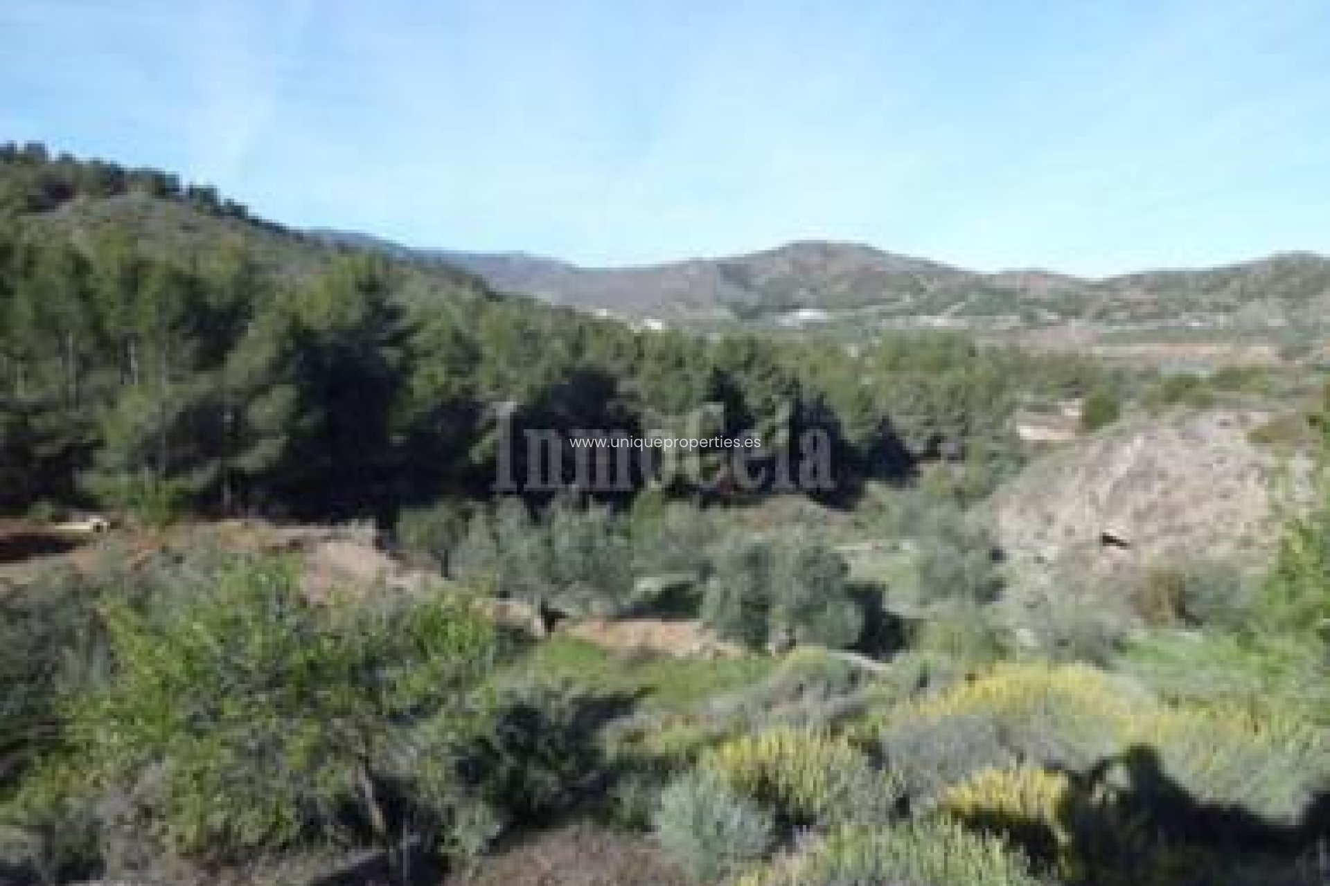 Revente - Land -
Purchena