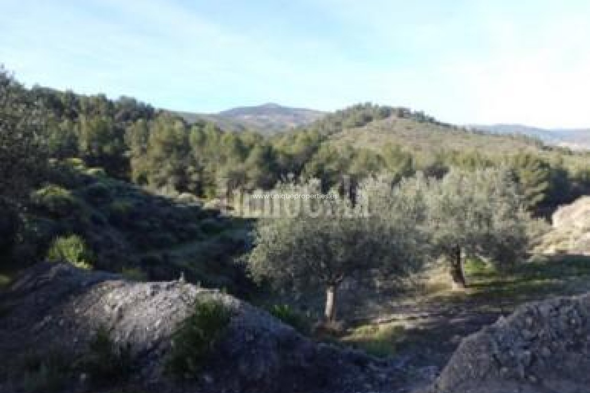 Revente - Land -
Purchena