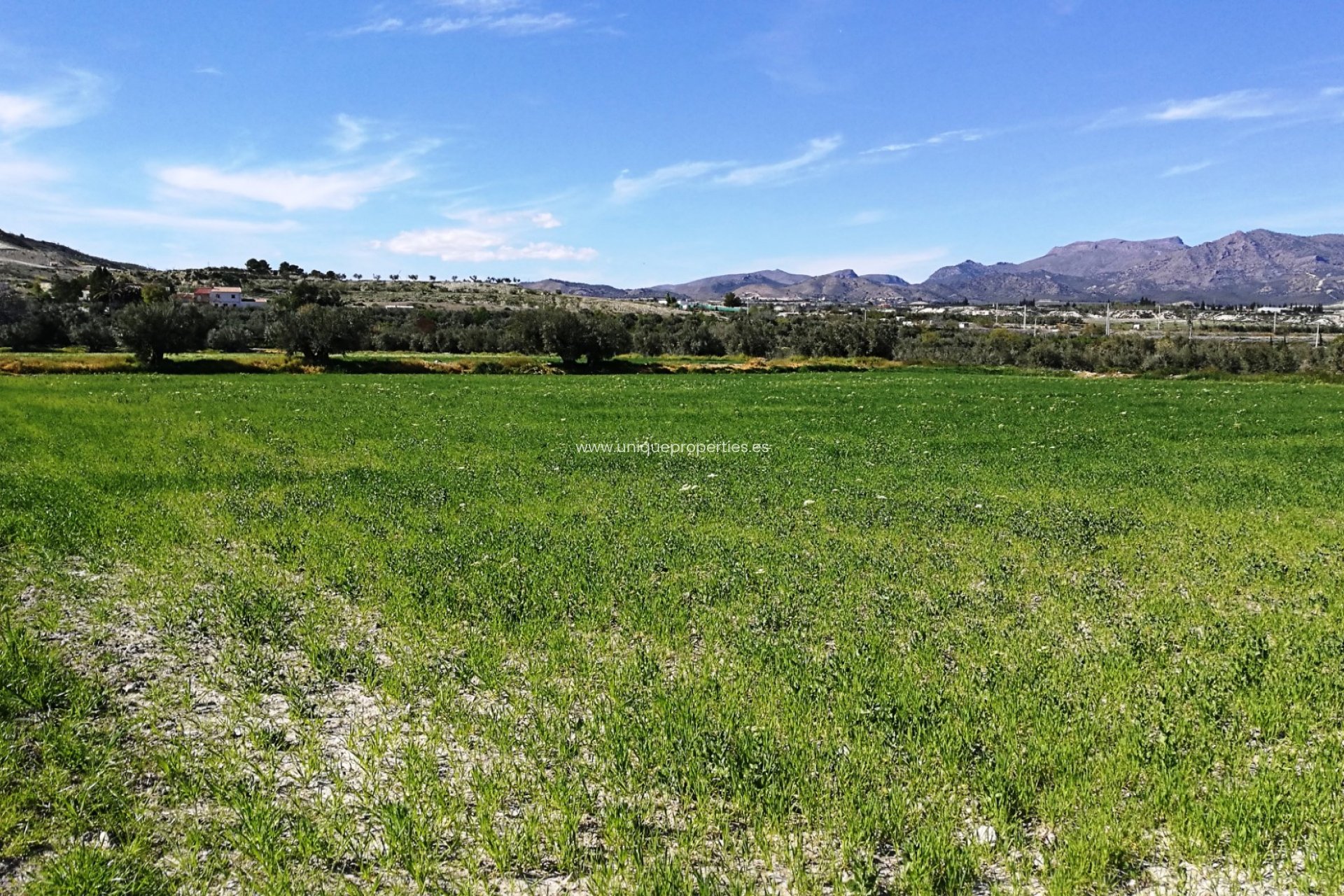 Revente - Land -
Tijola