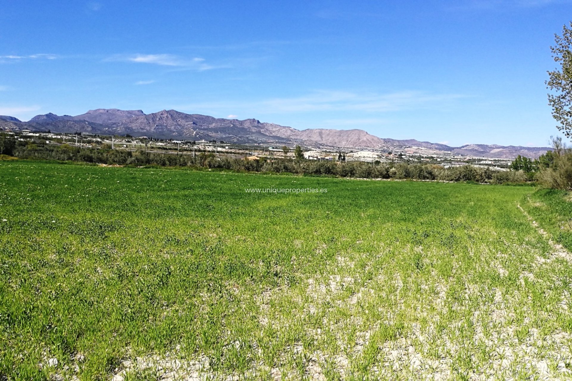 Revente - Land -
Tijola